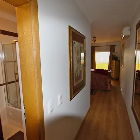 Antelius 82 - Clever Details