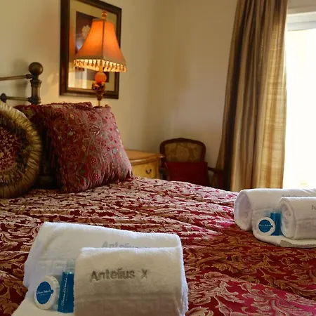 Antelius 82 - Clever Details